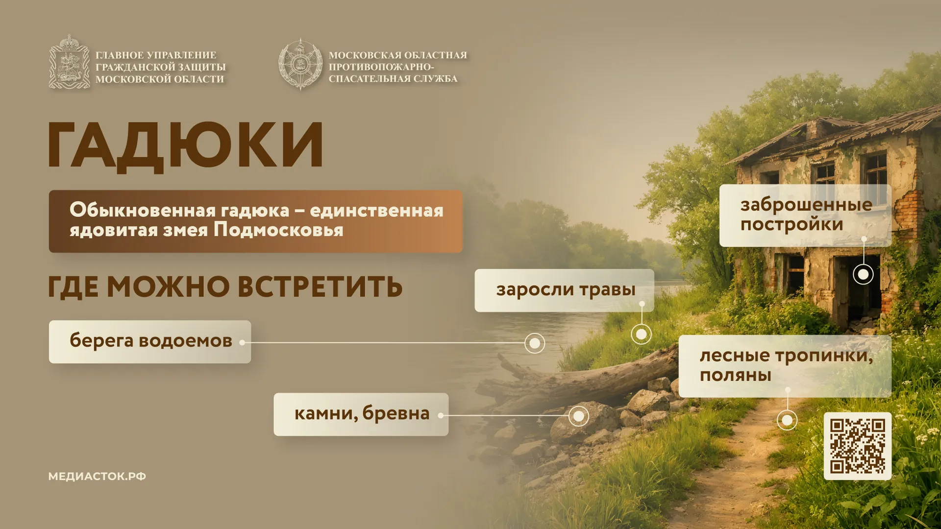 17 Гадюки горизонталь 01