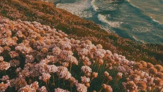 фото - описание для обложки