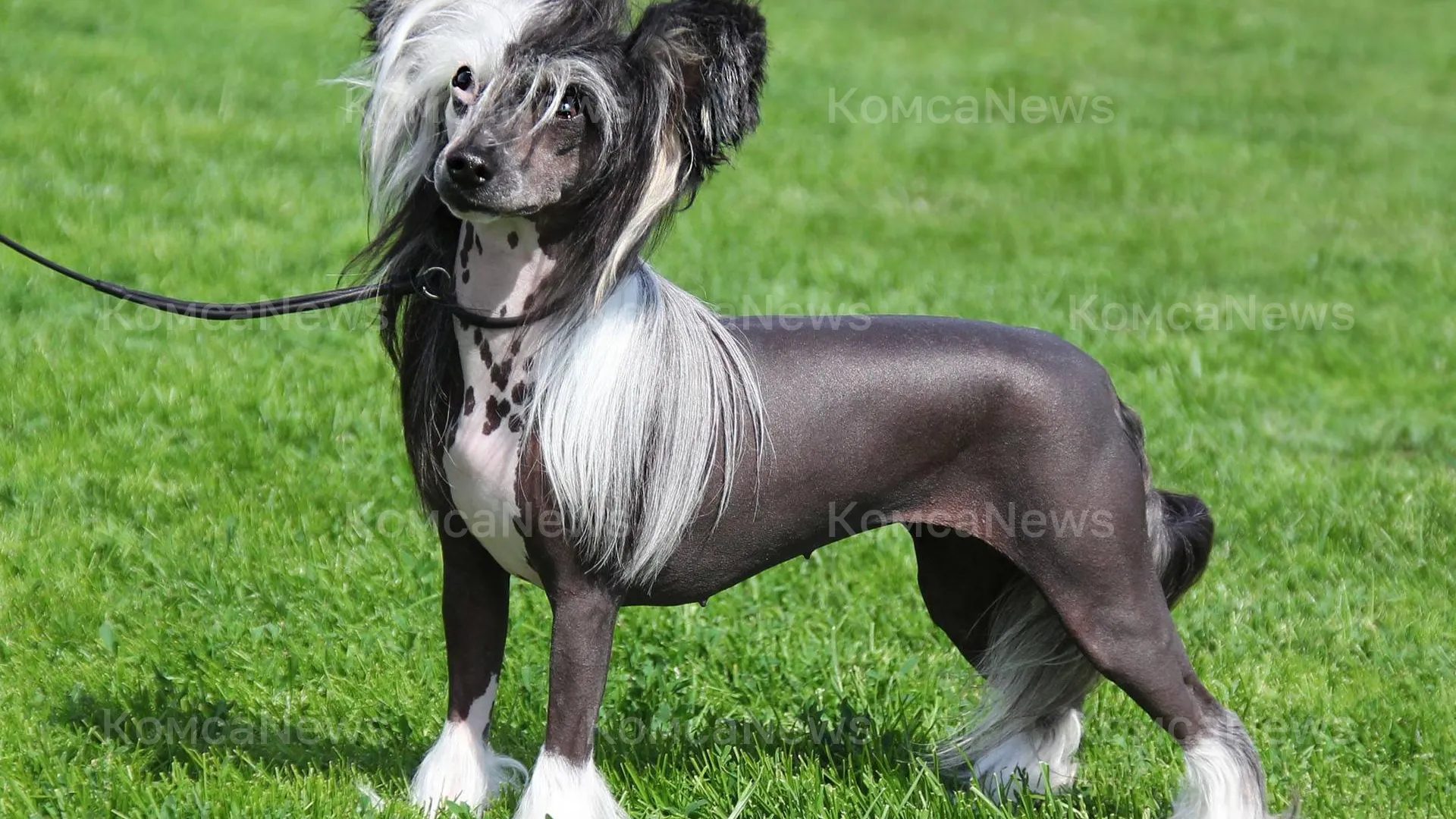 Тест описания