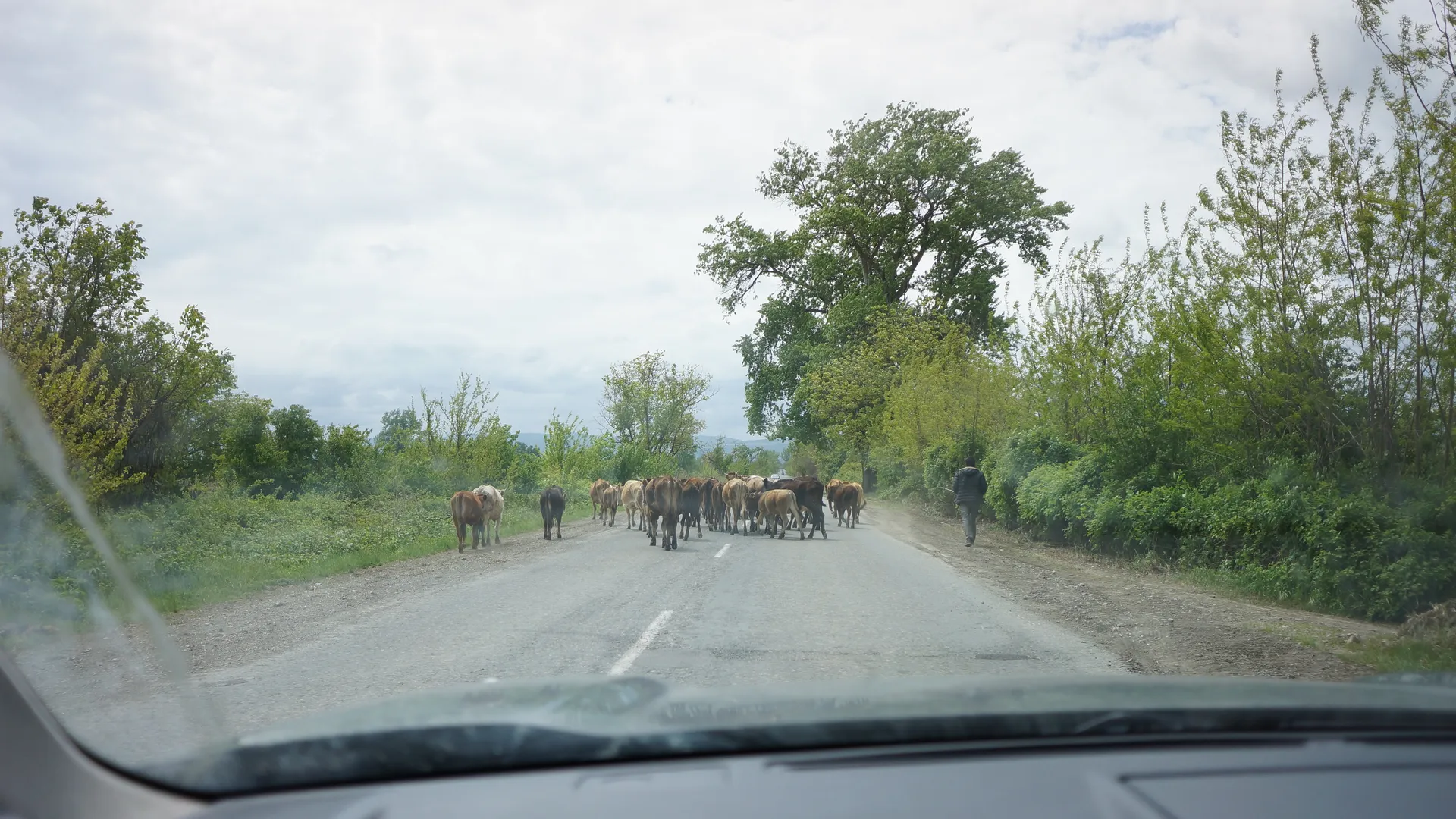 Медиасток.рф